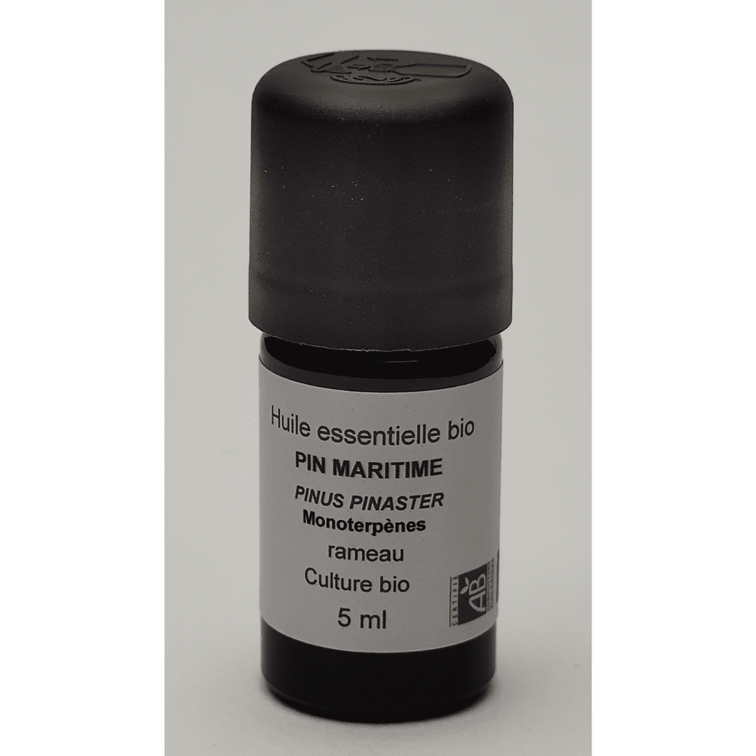 Image hover effect image