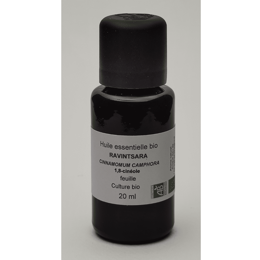 Image hover effect image