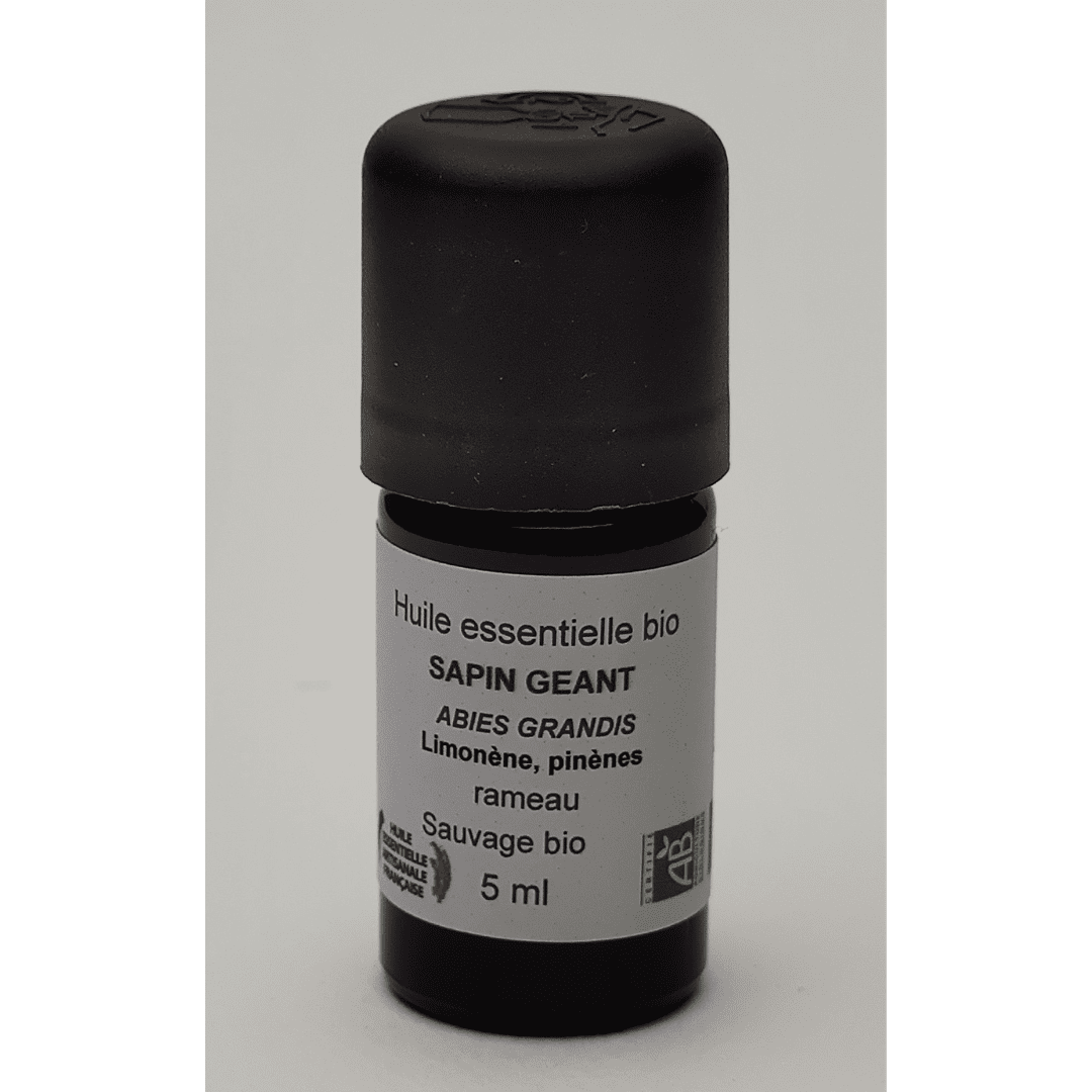 Image hover effect image