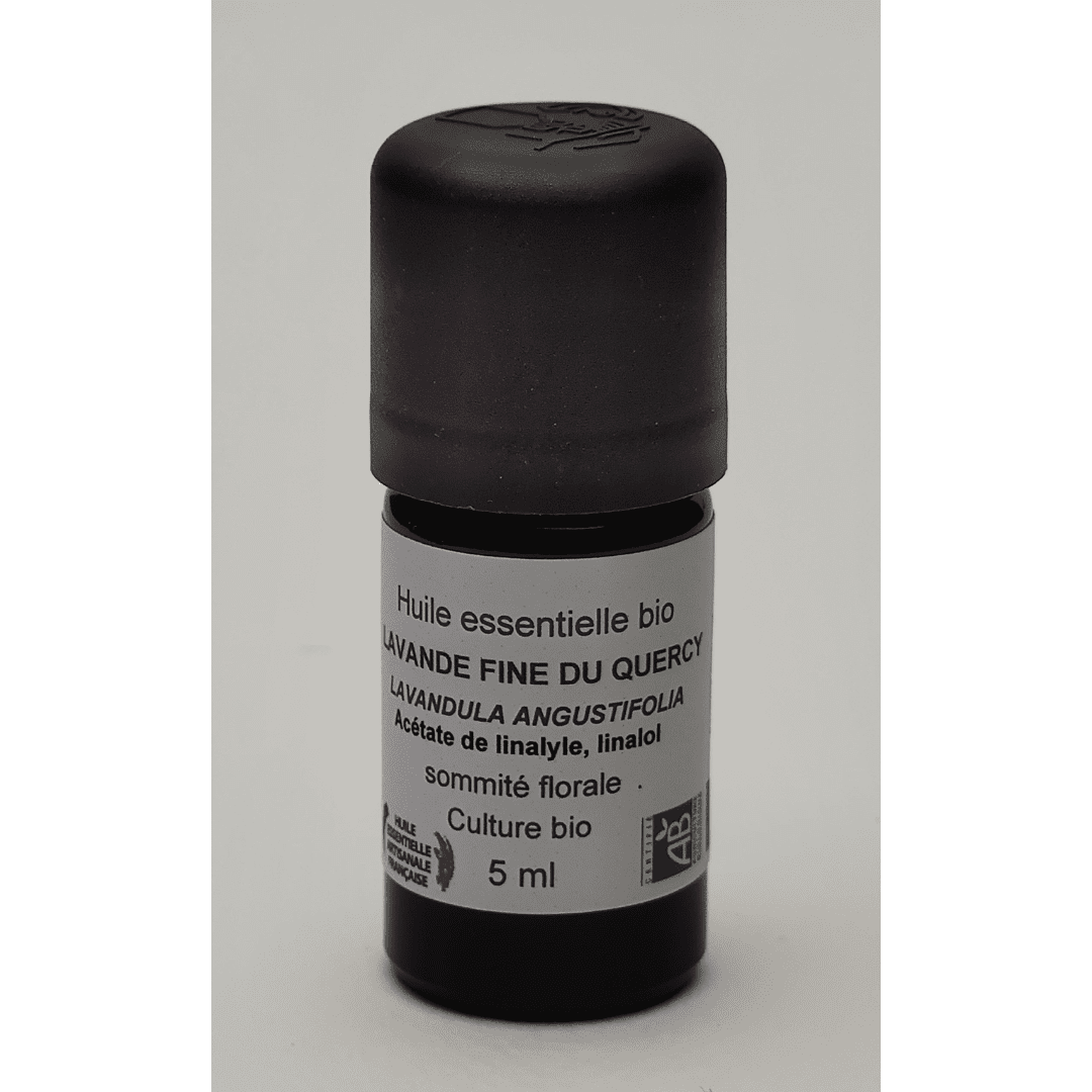 Image hover effect image