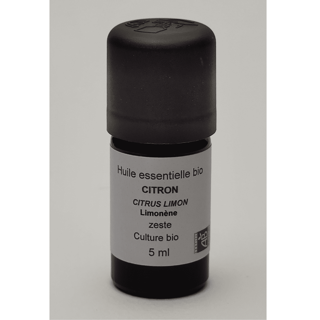 Image hover effect image